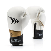 Boxing gloves Yakmaspor lion 14 oz