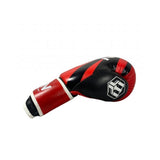 Masters RBT-KFN 10 boxing gloves