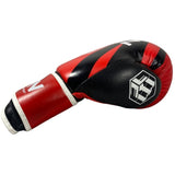 Masters RBT-KFN 10 boxing gloves