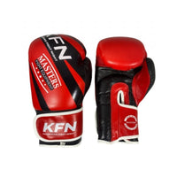 Masters RBT-KFN 10 boxing gloves
