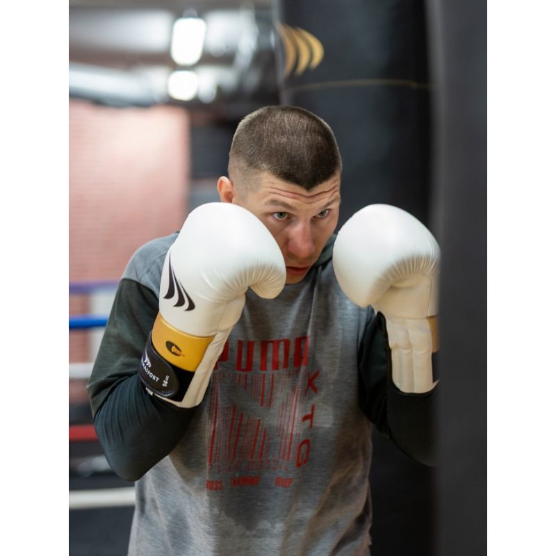 Boxing gloves Yakmaspor lion 14 oz